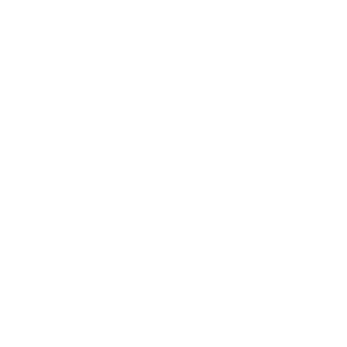 RISSA HAIR CO.